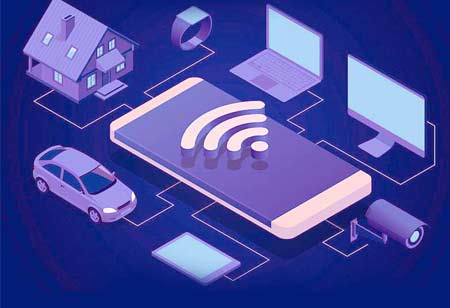 The Blooming Nature of Singapore Startup Ecosystem